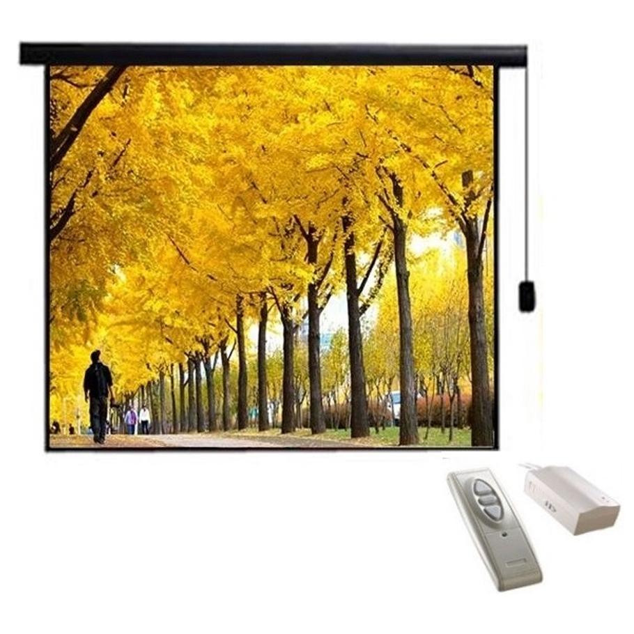 Màn chiếu điện Electric Dalite 96” x 96” (2.44 x 2.44m)